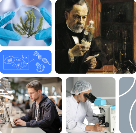 Get Instant Biology Answers with AI-Powered Biology Tutor